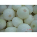 Competitive Quality Fresh Peeled Onion (5-8cm)